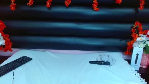 Snapshot of alasmith_ chatting on 01-29-25, 04:58 AlaSmith online show from 01-29-25, 04:58