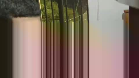 josevcam online show from 02-03-25, 11:58