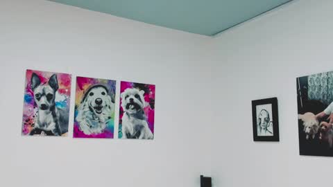 Snapshot of aleja1214 chatting on 12-23-24, 06:16 Alejandra online show from 12-23-24, 06:16