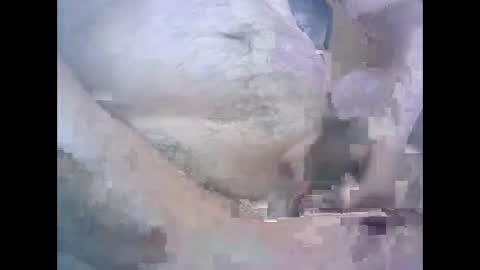 Snapshot of aleksandarcoabatica chatting on 10-22-25, 08:58 aleksandarcoabatica online show from 10-22-25, 08:58