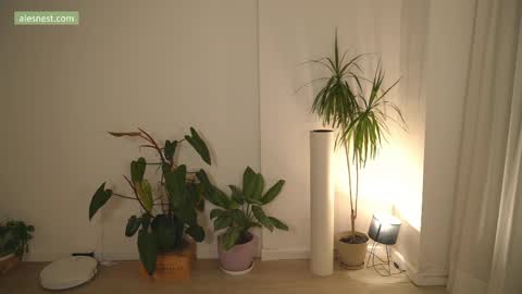 Ale online show from 04-06-26, 11:49