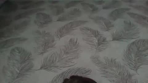 Aletta Oushen online show from 01-12-25, 11:17