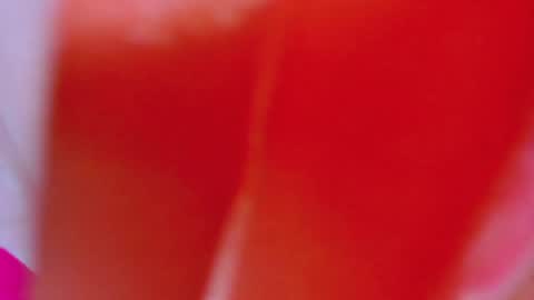 Snapshot of alexandramaravilla chatting on 02-04-25, 08:02 ALEXANDRA online show from 02-04-25, 08:02