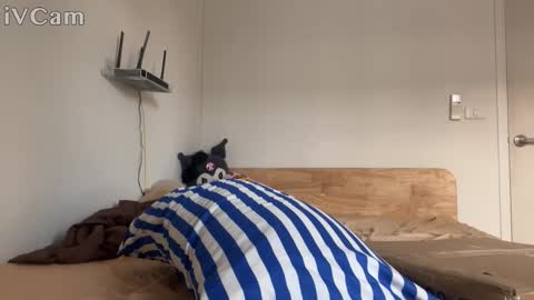 alexfilmx online show from 10-16-25, 07:31