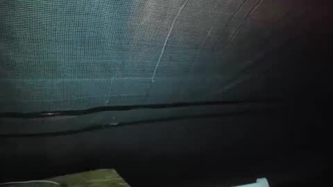 alfiesolomons87 online show from 09-09-25, 02:11