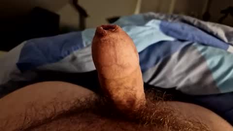 Snapshot of alfred2349 chatting on 10-04-25, 11:36 alfred2349 online show from 10-04-25, 11:36