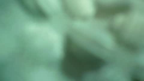 Snapshot of ali_asianguyuk chatting on 12-01-25, 01:32 ali_asianguyuk online show from 12-01-25, 01:32