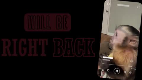 Sofia online show from 03-02-26, 01:07