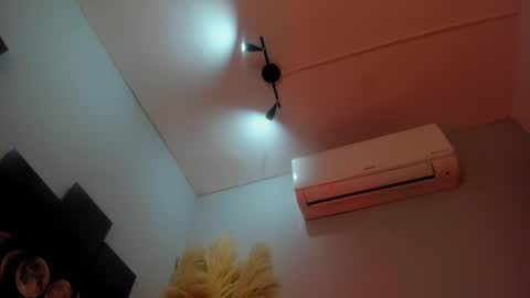 ALICE  online show from 11-15-25, 01:14