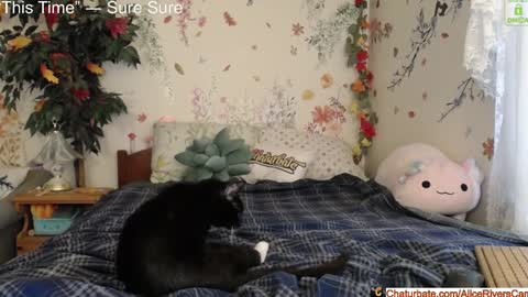 Alice Rivers ---- Enter my public Discord-  online show from 01-18-25, 08:40