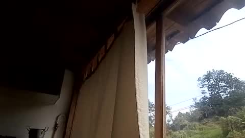 Snapshot of alisson369_ chatting on 02-13-25, 03:03 Alisson369 online show from 02-13-25, 03:03