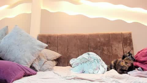 Alisson online show from 04-01-26, 01:41