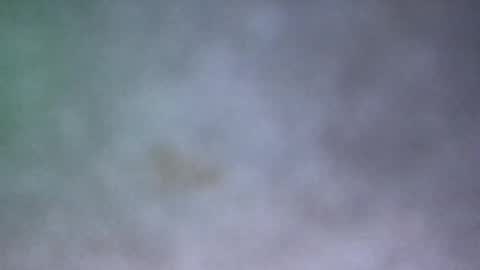 Snapshot of all_most_sane chatting on 05-17-26, 03:30 all_most_sane online show from 05-17-26, 03:30