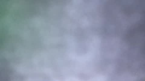 Snapshot of all_most_sane chatting on 05-18-26, 04:02 all_most_sane online show from 05-18-26, 04:02