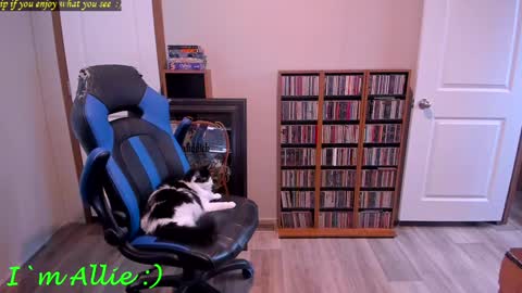 Snapshot of alliekat62 chatting on 12-29-24, 07:22 Allie online show from 12-29-24, 07:22