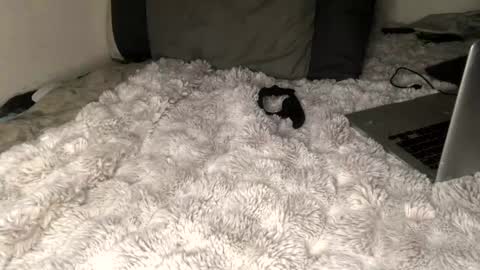 Snapshot of allthewayup10 chatting on 03-02-25, 08:38 allthewayup10 online show from 03-02-25, 08:38