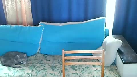 Snapshot of almirsex chatting on 06-28-26, 09:15 almirsex online show from 06-28-26, 09:15