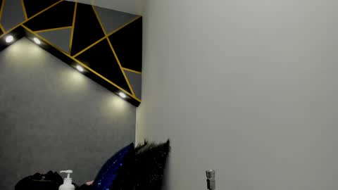 Snapshot of almma_ chatting on 01-23-25, 09:18 ALMMA online show from 01-23-25, 09:18