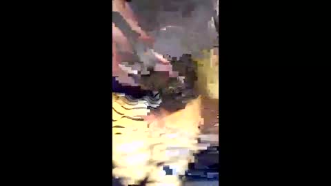 alwayshard22221981 online show from 02-15-26, 04:25