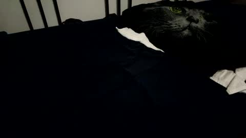 amadeusz online show from 12-06-24, 10:19