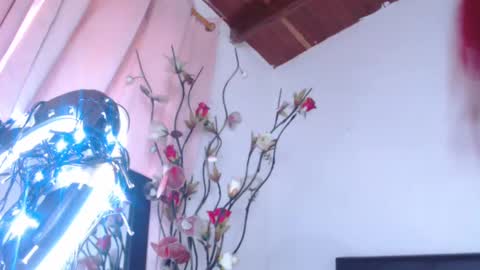 Snapshot of amarared chatting on 02-19-25, 05:38 online show from 02-19-25, 05:38