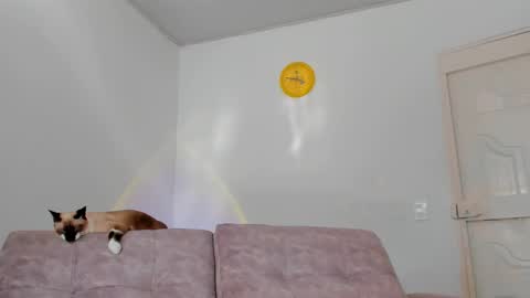 Snapshot of amatiistur chatting on 02-15-25, 08:54 Tammy online show from 02-15-25, 08:54