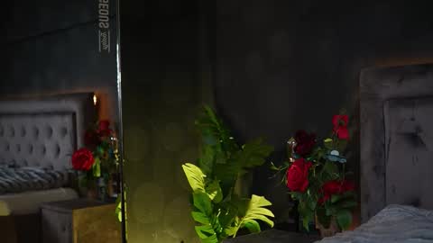  Amelia  online show from 11-20-25, 06:13