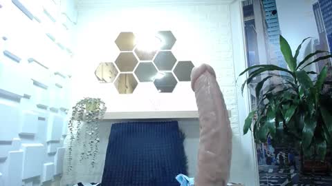 Snapshot of amell_thomson chatting on 02-12-25, 05:05 Amell Thomson online show from 02-12-25, 05:05