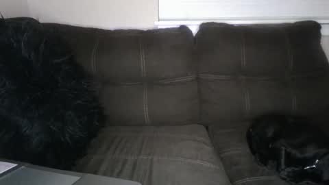 Snapshot of amiri_sweater chatting on 03-02-25, 11:39 amiri_sweater online show from 03-02-25, 11:39