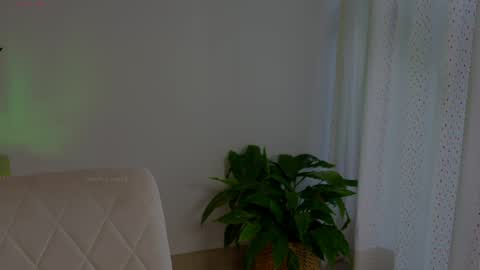 Snapshot of anabelcurvy chatting on 05-13-26, 06:38 anabelcurvy online show from 05-13-26, 06:38