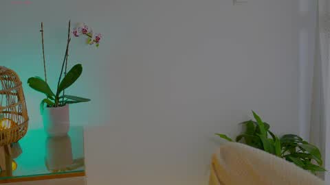 Snapshot of anabelcurvy chatting on 05-24-26, 09:58 anabelcurvy online show from 05-24-26, 09:58