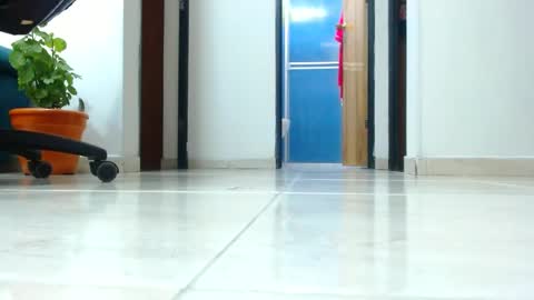 Snapshot of anaids_dam chatting on 01-01-25, 04:18 anaids online show from 01-01-25, 04:18