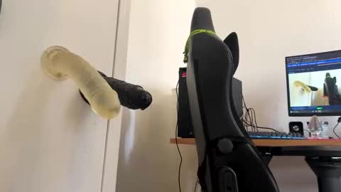 Snapshot of analass_ chatting on 09-20-25, 11:00 analass_ online show from 09-20-25, 11:00