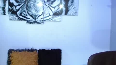 Snapshot of analia_01 chatting on 02-01-25, 02:02 Analia online show from 02-01-25, 02:02