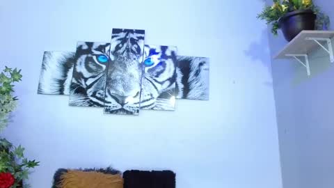 Snapshot of analia_01 chatting on 02-01-25, 05:05 Analia online show from 02-01-25, 05:05