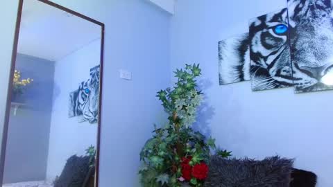 Snapshot of analia_01 chatting on 02-08-25, 03:10 Analia online show from 02-08-25, 03:10