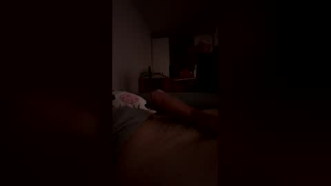 Snapshot of analpunisher2808 chatting on 03-12-26, 02:07 analpunisher2808 online show from 03-12-26, 02:07