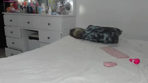 Snapshot of anastasia_danger1 chatting on 03-11-26, 12:44 ANASTASIA DANGER online show from 03-11-26, 12:44