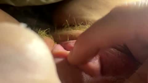 Snapshot of anastasiagirly chatting on 02-26-26, 02:54 anastasia online show from 02-26-26, 02:54