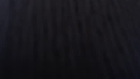 Snapshot of anddrea_ chatting on 01-02-25, 12:03 online show from 01-02-25, 12:03