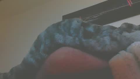 Snapshot of andionline chatting on 03-05-26, 05:14 andreas online show from 03-05-26, 05:14