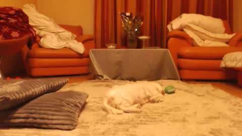 Andra online show from 11-18-25, 10:25