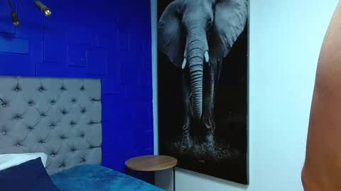 Snapshot of andre_parker chatting on 02-11-25, 02:46 Andre Parker online show from 02-11-25, 02:46