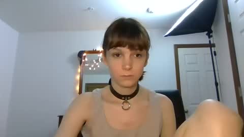 Snapshot of andrea_davenport chatting on 12-11-24, 04:49 andrea online show from 12-11-24, 04:49