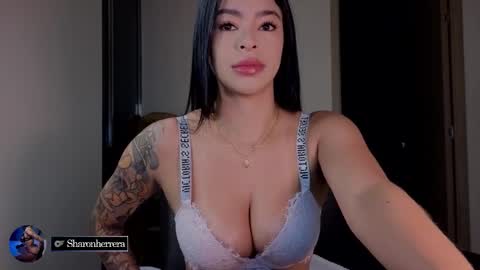    online show from 01-12-26, 04:29