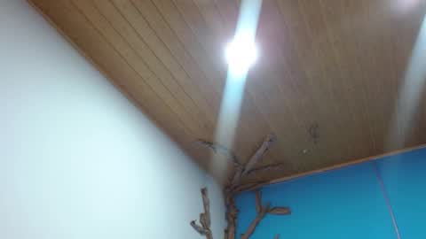 Snapshot of andrebigboobs chatting on 02-03-26, 02:53 Andre online show from 02-03-26, 02:53