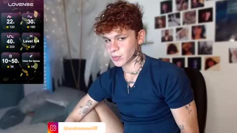 Snapshot of andreewwolffman chatting on 12-27-24, 05:20 Andrew online show from 12-27-24, 05:20