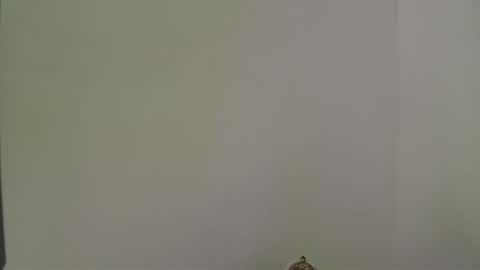 Snapshot of andres_stud chatting on 10-13-25, 04:34 andres_stud online show from 10-13-25, 04:34