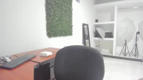 Snapshot of andresgiraldo1 chatting on 01-24-25, 04:48 Isa --------- online show from 01-24-25, 04:48