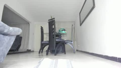 Snapshot of andresgiraldo1 chatting on 01-31-25, 02:37 Isa --------- online show from 01-31-25, 02:37